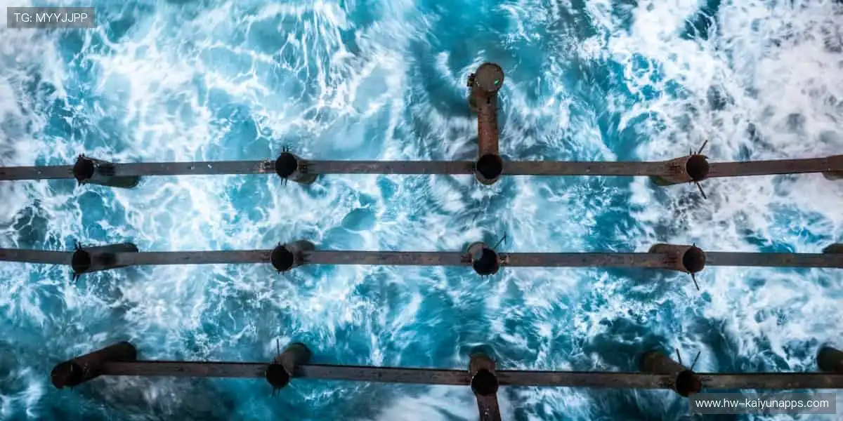 🔥 热血赛场,每一秒都在创造奇迹!⚽️